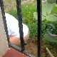 A person recording from a balcony captures a woman on video sneaking around the back of a house or hotel to take a loose-looking shit. About 2 minutes.